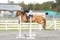 Equiyd National Amateur Second Rounds at Tillyoch Equestrian Centre